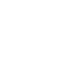 zajęcia w szkołach